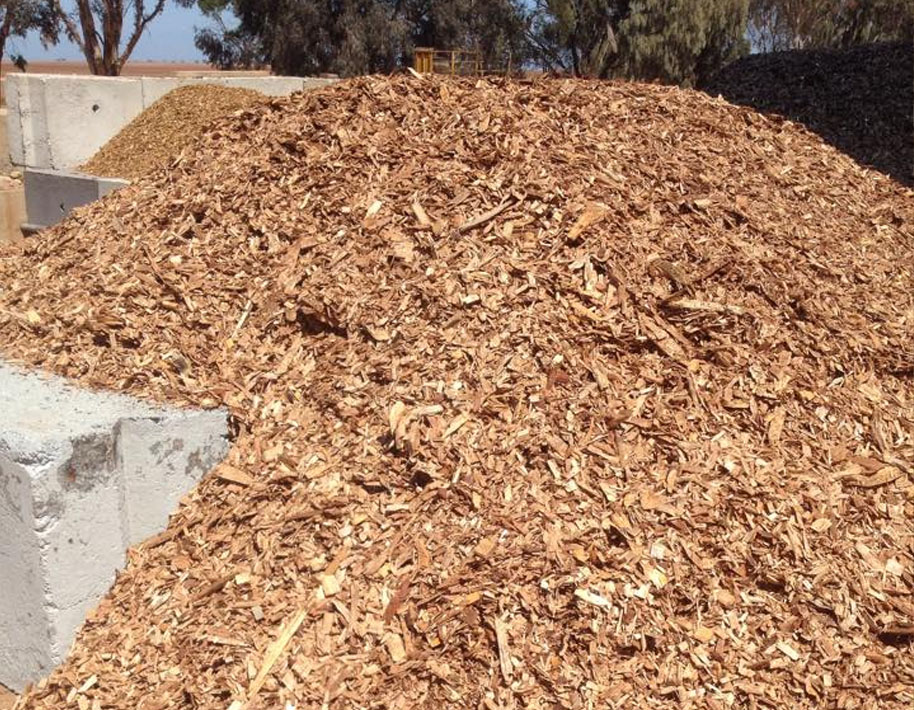 Pine Wood chips